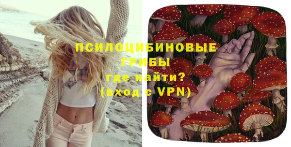 дживик Медногорск