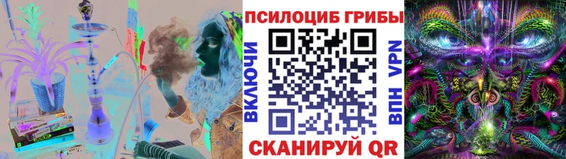 даркнет сайт  Талдом  Псилоцибиновые грибы Psilocybe 